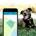 GPS-трекер для домашних животных. Findster Duo+ 4